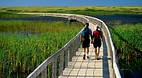 Prince Edward Island