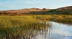 Prince Edward Island