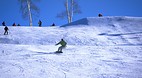 Haliburton Highlands