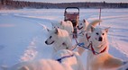 Inuvik