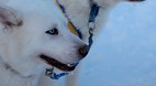Inuvik