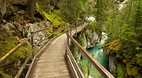 Johnston Canyon