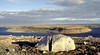 Kitikmeot