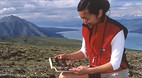 Kluane National Park