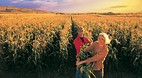 Saskatchewan