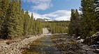 Maligne Canyon