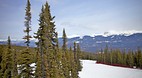 Marmot Basin