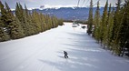 Marmot Basin