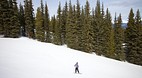 Marmot Basin