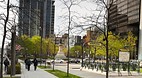 Montreal