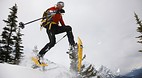 Mount Norquay