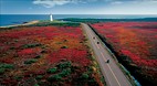 New Brunswick