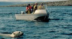 Nunavut