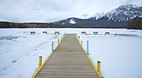Patricia Lake