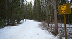Patricia Lake