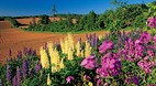 Prince Edward Island