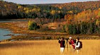 Prince Edward Island