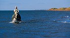 Prince Edward Island