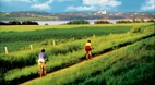 Prince Edward Island