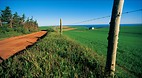 Prince Edward Island