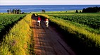 Prince Edward Island
