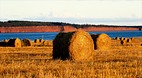 Prince Edward Island