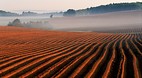 Prince Edward Island