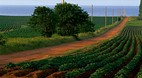 Prince Edward Island