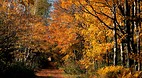 Prince Edward Island