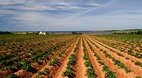 Prince Edward Island