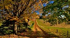 Prince Edward Island