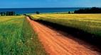 Prince Edward Island