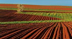 Prince Edward Island