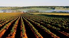 Prince Edward Island