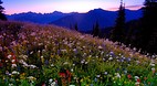 Rocky Mountains