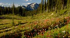 Rocky Mountains