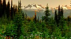 Rocky Mountains