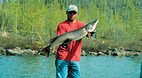 Saskatchewan