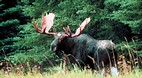 Saskatchewan