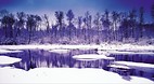 Saskatchewan