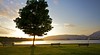 Stanley Park