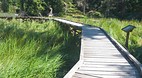 Sunshine Coast