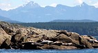 Sunshine Coast