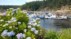 Sunshine Coast