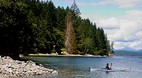Sunshine Coast