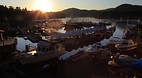 Sunshine Coast