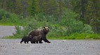 Banff National Park