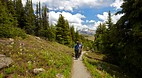 Banff National Park