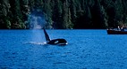 British Columbia