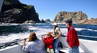 Twillingate